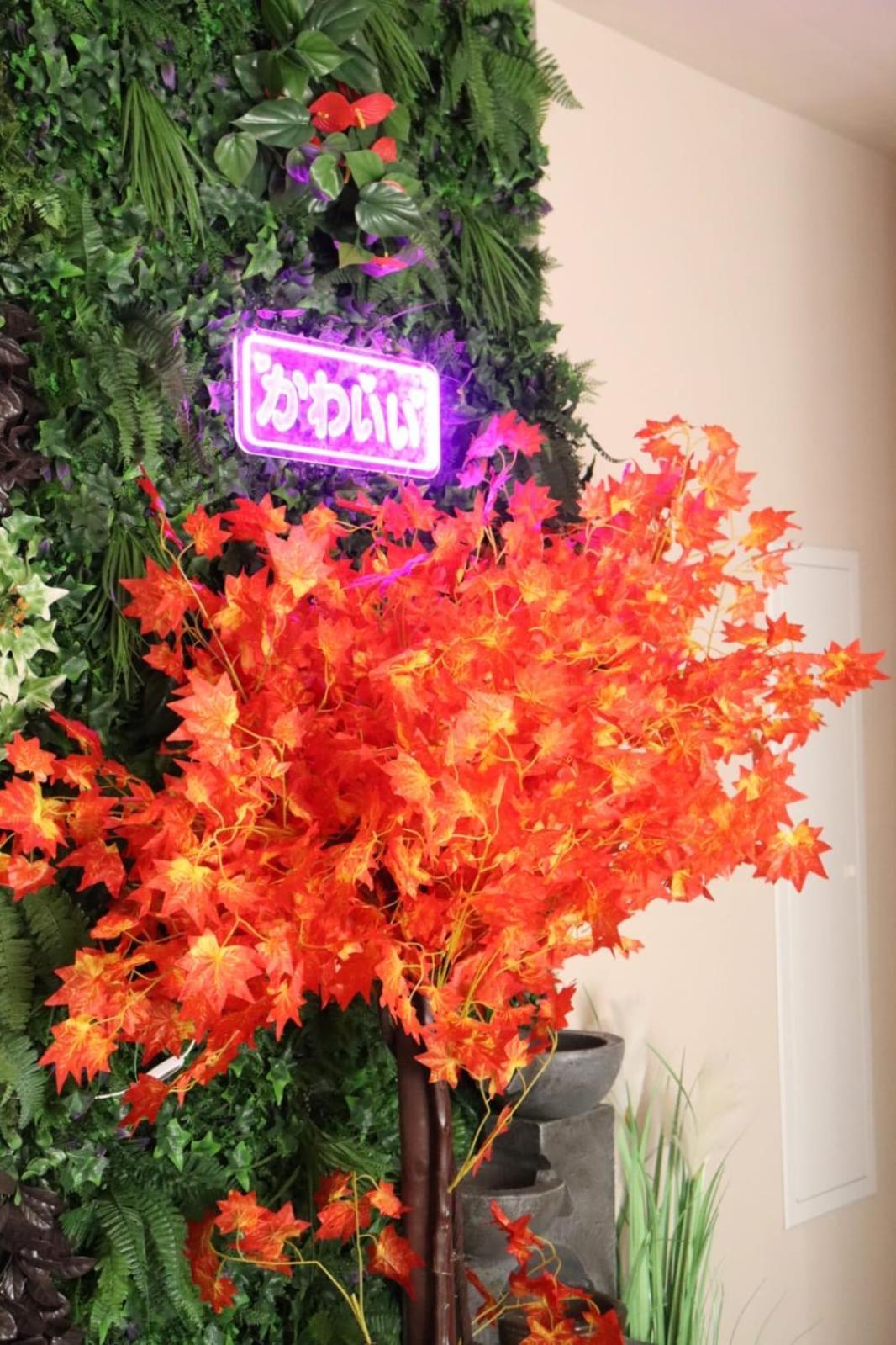 Loveroom Japon Avec Balneotherapie 土伦 外观 照片